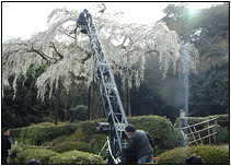 �C���[�W�摜