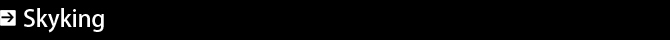 ��^�B�e�p�N���[�� Skyking