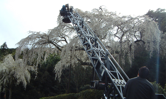 Skyking�C���[�W�摜