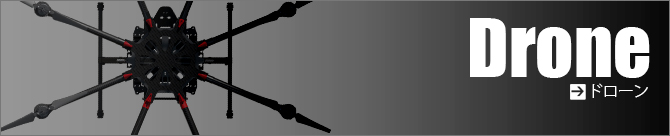 Drone�i�h���[���j